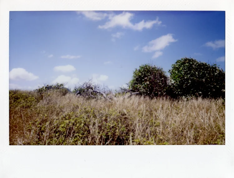 FujiFilmInstaxWide010.jpg
